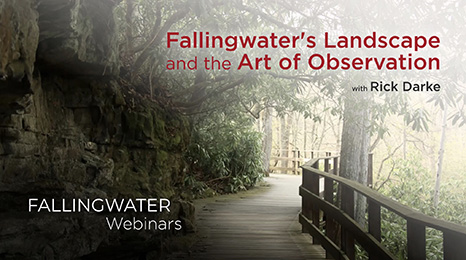 Falliingwater webinar Art of Observation
